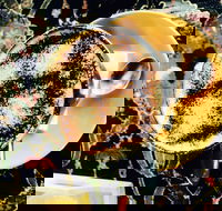 Cafe 3847 - Pubs Perth