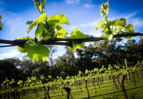 Michael Unwin Wines - Pubs Perth 1