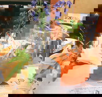 Smokkim - Ryde - Pubs Perth