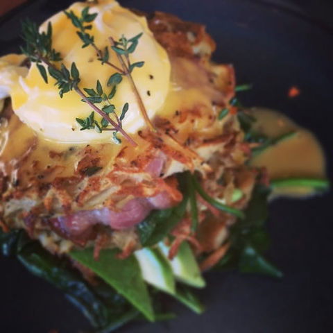 The Office On Harrogate - Pubs Perth 0