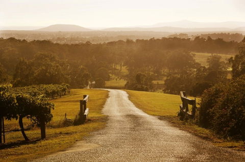 Petersons Wines - Pubs Perth 0