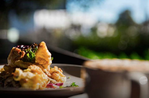 Wild Harvest - Pubs Perth 0