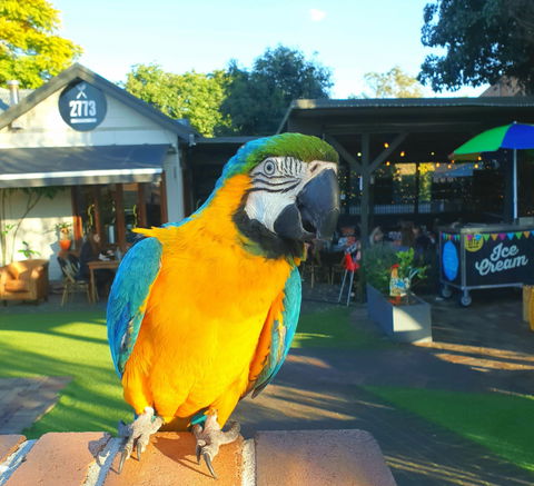 Cafe 2773 - Pubs Perth 2