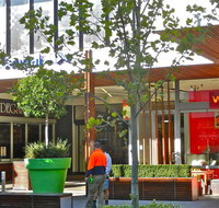 Walrus Japanese - Pubs Perth