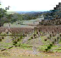 Habitat Vineyard - Pubs Perth