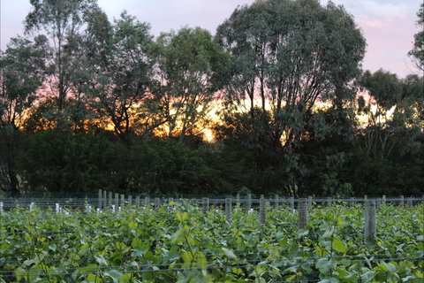 Haldon Estate Wines - Pubs Perth 2