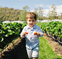 Hillwood Berries Farmgate  Pick Your Own - Pubs Perth