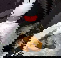 Lil' Orbit - Pubs Perth