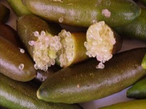 Sandy Creek Olives And Finger Limes - Pubs Perth 0