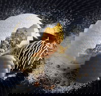 The Roundabout Restaurant - Pubs Perth