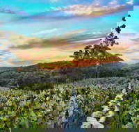 Between the Vines Cellar Door - Pubs Perth