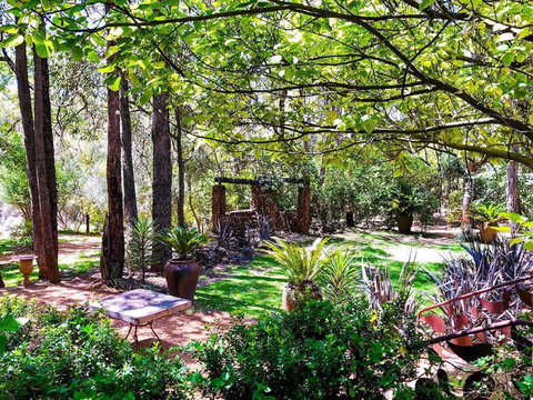 Naked Apple Cider - Pubs Perth 0