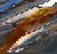 Baker's Boutique and Patisserie - Pubs Perth