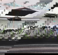 Mr Morce - Pubs Perth