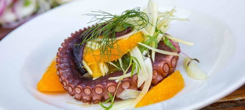 O Bar & Restaurant - Pubs Perth 3