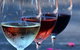 Vines Restaurant At Hollydene Estate - thumb 8