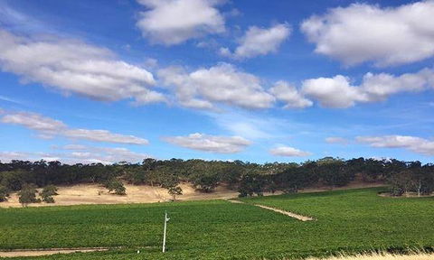 Ricco's Burgers & Coffee - Pubs Perth 11