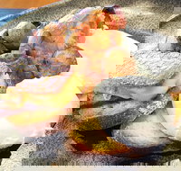 The Peak - Pubs Perth