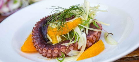 Black Swan Winery & Restaurant - Pubs Perth 3