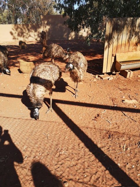 Erldunda Roadhouse - Pubs Perth 1