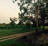 Brierley Wines - Pubs Perth