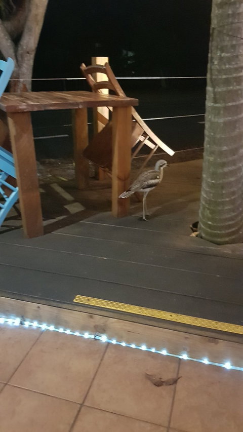 Coco Mojo - Pubs Perth 6