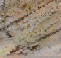 Copperpot Indian Restaurant - Pubs Perth