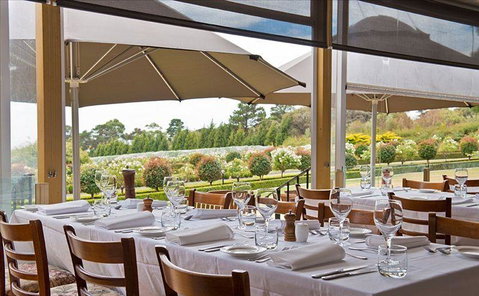 Sokyo - Pubs Perth 11