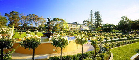 Sokyo - Pubs Perth 18