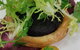 Sokyo - thumb 5