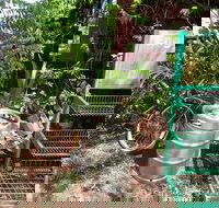 Larrimah Pink Panther Hotel - Pubs Perth