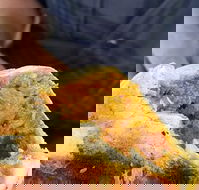 Brighton's Best Bakehouse - Pubs Perth