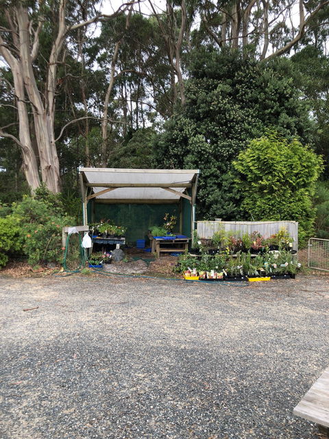 Cafe Brewer - Pubs Perth 2