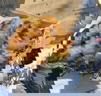 Chef's Catch - Pubs Perth