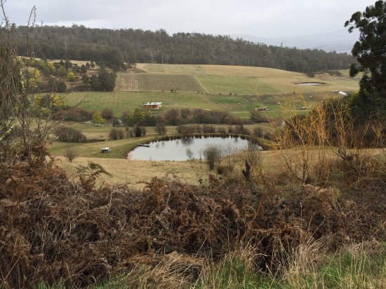 Glaziers Bay TAS Pubs Perth