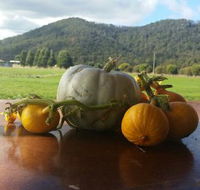 Mount Gnomon Farm - Pubs Perth