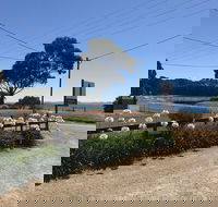 Penguin  Pardalote Coffee House - Pubs Perth
