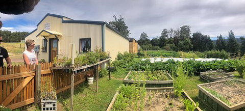 Springfield Tea Room - Pubs Perth 0