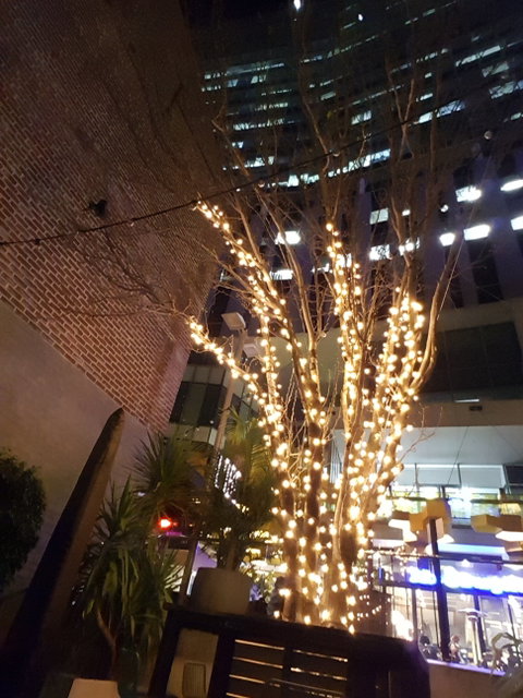 The Globe - Pubs Perth 3