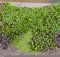 Wattle Hill Olives - Pubs Perth