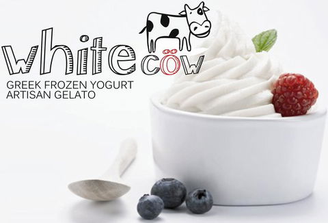White Cow - Greek Frozen Yogurt, Artisan Gelato - Pubs Perth 0