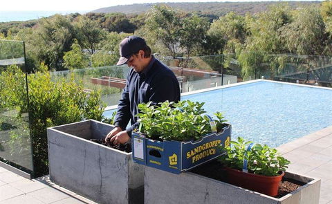 Other Side Of The Moon Restaurant - Pubs Perth 5