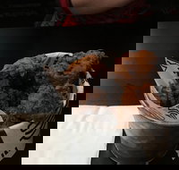 Bump in Burgers - Pubs Perth