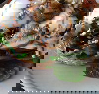 Hedgehogs Cafe - Pubs Perth