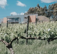 Green Door Winery  Cafe - Pubs Perth