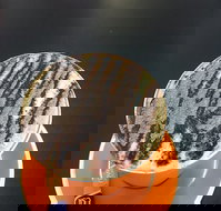 The Daily Grind Cafe - Pubs Perth