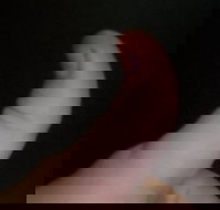 The Roast N Grill Cafe - Pubs Perth