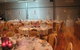 Taste Kendenup Restaurant - thumb 0