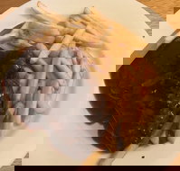 Mount Pleasant Hotel Motel - Pubs Perth