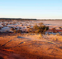Mozie's Truckstop  Diner - Pubs Perth